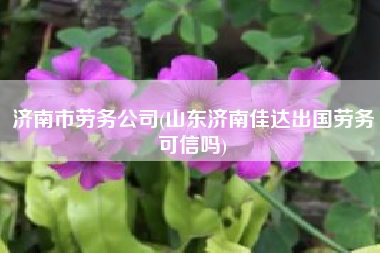 济南市劳务公司(山东济南佳达出国劳务可信吗)