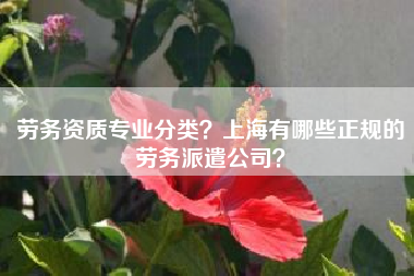 劳务资质专业分类？上海有哪些正规的劳务派遣公司？