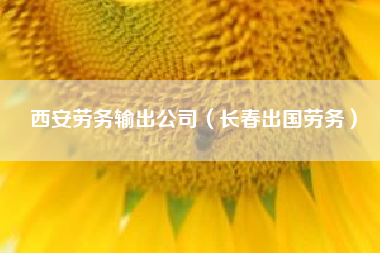 西安劳务输出公司（长春出国劳务）