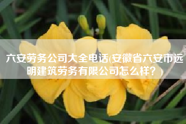 六安劳务公司大全电话(安徽省六安市远明建筑劳务有限公司怎么样？)