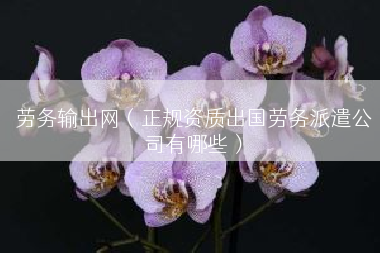 劳务输出网（正规资质出国劳务派遣公司有哪些）