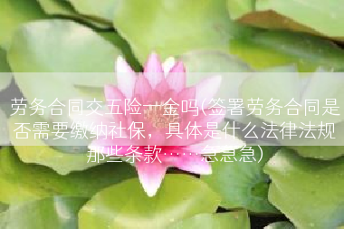 劳务合同交五险一金吗(签署劳务合同是否需要缴纳社保，具体是什么法律法规那些条款……急急急)