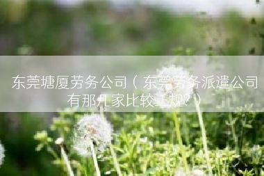 东莞塘厦劳务公司（东莞劳务派遣公司有那几家比较正规?）