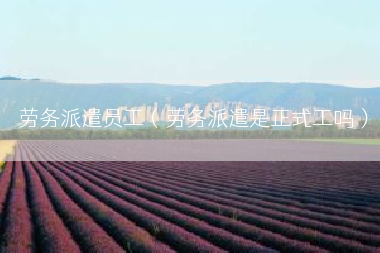 劳务派遣员工（劳务派遣是正式工吗）