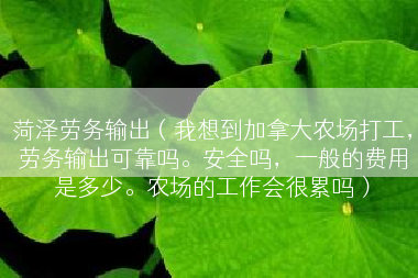 菏泽劳务输出（我想到加拿大农场打工，劳务输出可靠吗。安全吗，一般的费用是多少。农场的工作会很累吗）