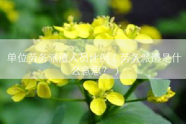 单位劳务派遣人员比例（劳务派遣是什么意思？）