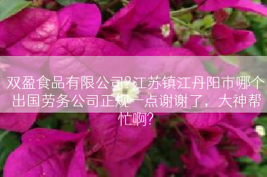 双盈食品有限公司?江苏镇江丹阳市哪个出国劳务公司正规一点谢谢了，大神帮忙啊?