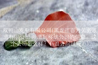 双鸭山发电有限公司(黑龙江百力劳务派遣有限公司 派遣到移动公司的信息。这个公司怎么样？有谁去问过呀？)