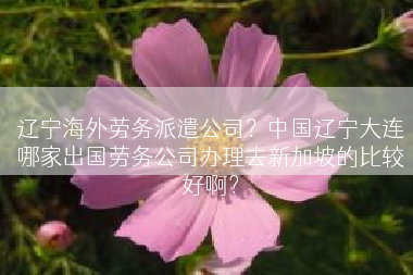 辽宁海外劳务派遣公司？中国辽宁大连哪家出国劳务公司办理去新加坡的比较好啊？
