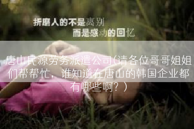 唐山民源劳务派遣公司(请各位哥哥姐姐们帮帮忙，谁知道在唐山的韩国企业都有哪些啊？)