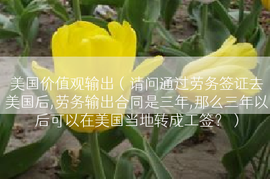 美国价值观输出（请问通过劳务签证去美国后,劳务输出合同是三年,那么三年以后可以在美国当地转成工签？）