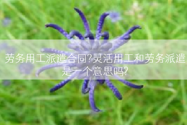劳务用工派遣合同?灵活用工和劳务派遣是一个意思吗?