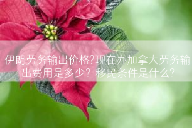 伊朗劳务输出价格?现在办加拿大劳务输出费用是多少？移民条件是什么?