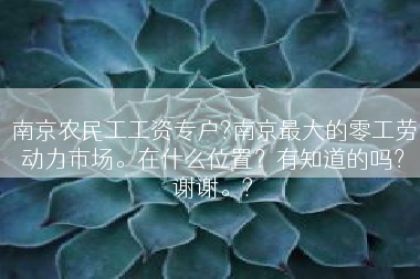 南京农民工工资专户?南京最大的零工劳动力市场。在什么位置？有知道的吗？谢谢。?