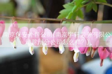南京保安外包公司(南京宇轩劳务有限公司滁州分公司怎么样？)