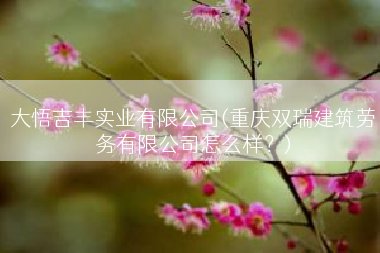 大悟吉丰实业有限公司(重庆双瑞建筑劳务有限公司怎么样？)