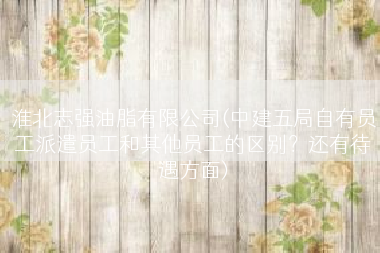 淮北志强油脂有限公司(中建五局自有员工派遣员工和其他员工的区别？还有待遇方面)