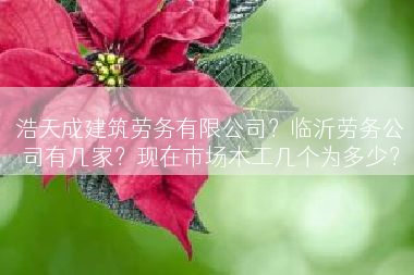 浩天成建筑劳务有限公司？临沂劳务公司有几家？现在市场木工几个为多少？