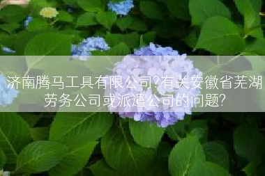 济南腾马工具有限公司?有关安徽省芜湖劳务公司或派遣公司的问题?