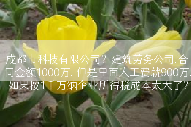 成都市科技有限公司？建筑劳务公司.合同金额1000万. 但是里面人工费就900万. 如果按1千万纳企业所得税成本太大了？