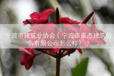 宁波市建筑业协会（宁波市豪杰建筑劳务有限公司怎么样？）