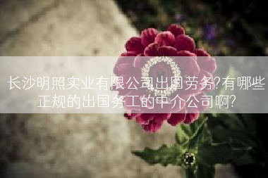 长沙明照实业有限公司出国劳务?有哪些正规的出国务工的中介公司啊?
