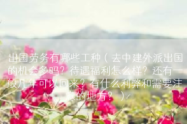 出国劳务有哪些工种（去中建外派出国的机会多吗？待遇福利怎么样？还有一般几年可以回来？有什么利弊和需要注意的地方？）