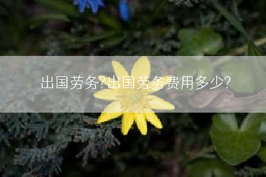出国劳务?出国劳务费用多少?