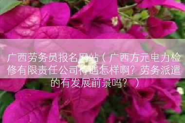 广西劳务员报名网站（广西方元电力检修有限责任公司待遇怎样啊？劳务派遣的有发展前景吗？）
