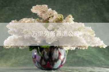 万里劳务派遣公司
