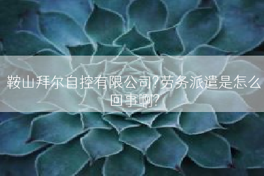 鞍山拜尔自控有限公司?劳务派遣是怎么回事啊?
