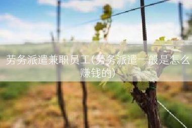 劳务派遣兼职员工(劳务派遣一般是怎么赚钱的)