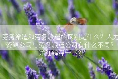 劳务派遣和劳务派遣的区别是什么？人力资源公司与劳务派遣公司有什么不同？详细解释一下？