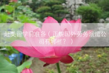 赴美留学前准备（正规国外劳务派遣公司有哪些？）