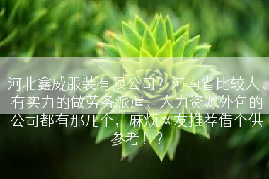 河北鑫威服装有限公司？河南省比较大、有实力的做劳务派遣、人力资源外包的公司都有那几个，麻烦网友推荐借个供参考！？