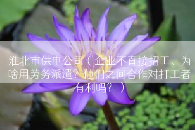 淮北市供电公司（企业不直接招工、为啥用劳务派遣？他们之间合作对打工者有利吗？）