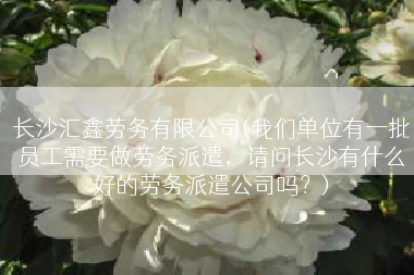 长沙汇鑫劳务有限公司(我们单位有一批员工需要做劳务派遣，请问长沙有什么好的劳务派遣公司吗？)