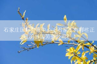 石家庄国际会展中心（石家庄有哪些正规的出国劳务公司？）