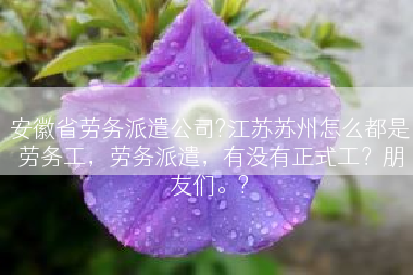 安徽省劳务派遣公司?江苏苏州怎么都是劳务工，劳务派遣，有没有正式工？朋友们。?