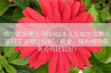 哈尔滨派遣公司排名(本人在哈尔滨想出国打工去哪比较好，薪金，福利哪个劳务公司比较好)