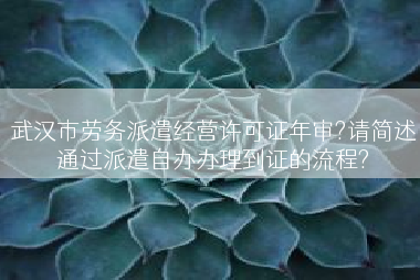 武汉市劳务派遣经营许可证年审?请简述通过派遣自办办理到证的流程?