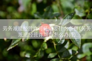 劳务派遣经营许可证需要什么条件(劳务派遣经营许可证怎么办理)