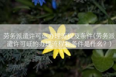 劳务派遣许可证办理流程及条件(劳务派遣许可证的办理流程和条件是什么？)