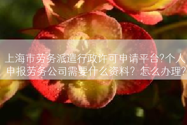 上海市劳务派遣行政许可申请平台?个人申报劳务公司需要什么资料？怎么办理?