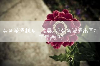 劳务派遣制度上墙展示?劳务派遣出国打工靠谱吗?
