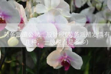 劳务派遣公司一般计税(劳务派遣发票有几种，一般税点是多少)