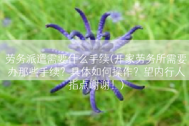 劳务派遣需要什么手续(开家劳务所需要办那些手续？具体如何操作？望内行人指点谢谢！)