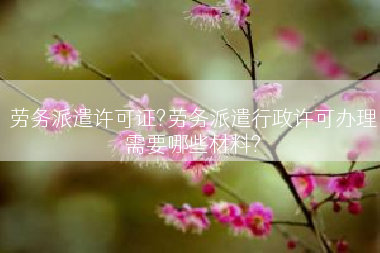 劳务派遣许可证?劳务派遣行政许可办理需要哪些材料?