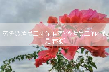 劳务派遣员工社保谁买?派遣员工的社保是谁缴?