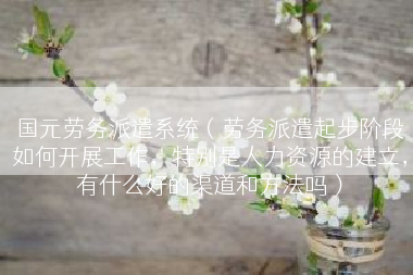 国元劳务派遣系统（劳务派遣起步阶段如何开展工作，特别是人力资源的建立，有什么好的渠道和方法吗）